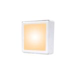 SURFACE PANEL LIGHT