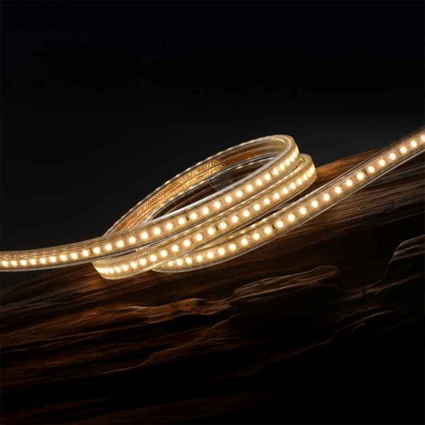 STRIP LIGHT